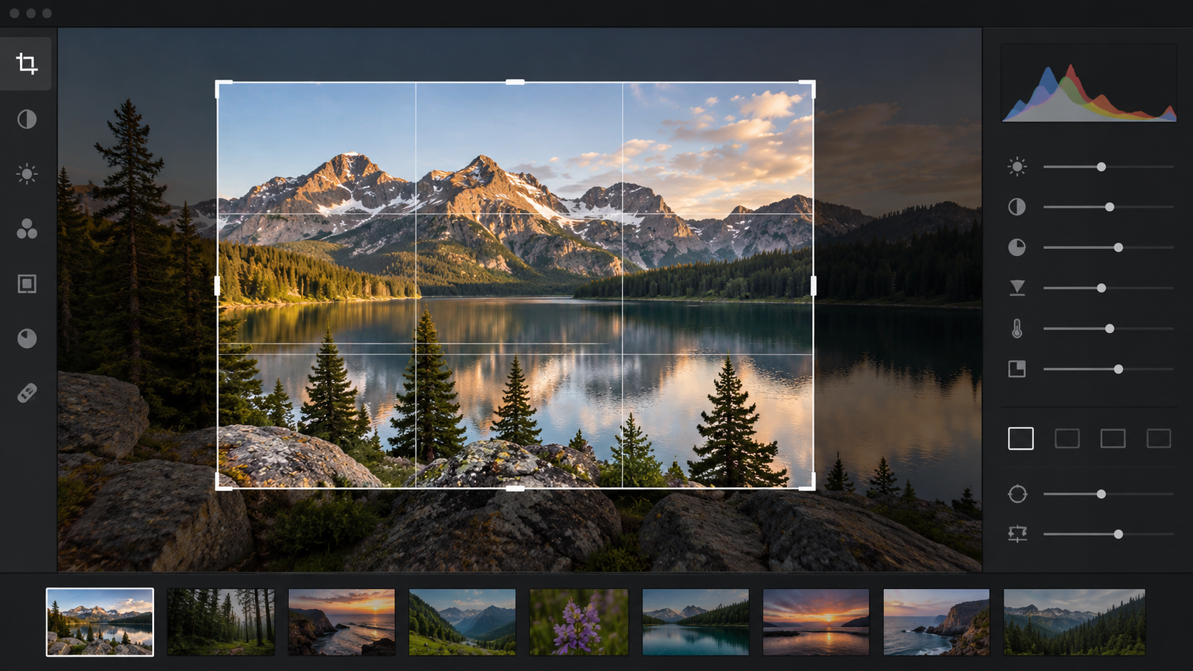 Image with an active crop frame selecting only part of the original scene