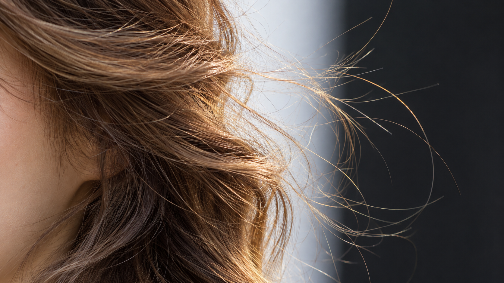 Close view of fine hair strands preserved after background removal